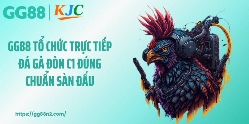 GG88 tổ chức trực tiếp đá gà đòn C1 đúng chuẩn sàn đấu